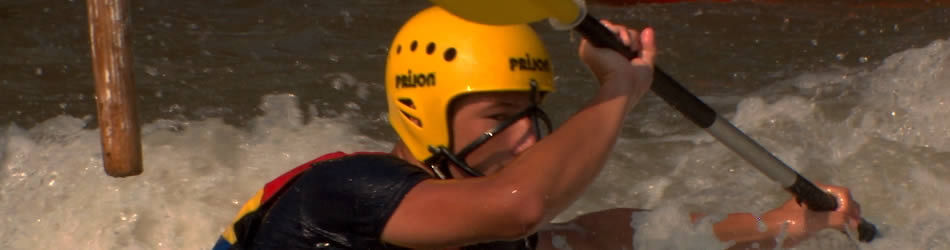 在线手机号轰炸网页版